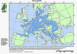 EUFORGEN tree distribution map