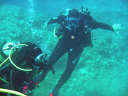 Diving data collection 15