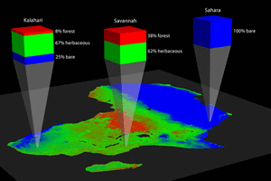 Vegetation Continuous Field