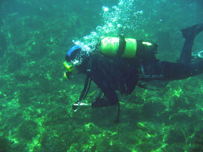 DSC01103_edited