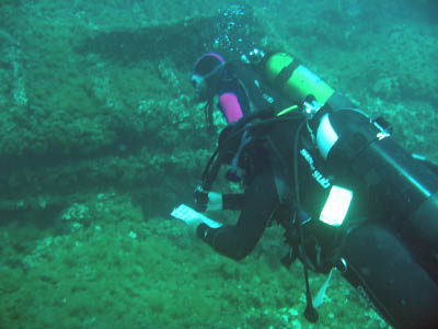 Diving data collection 1