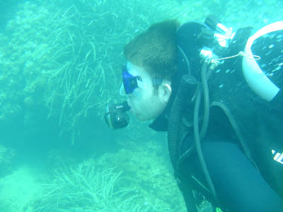 Diving data collection 11