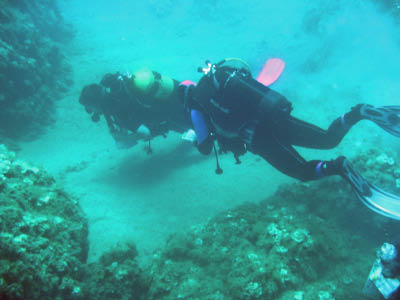 Diving data collection 16