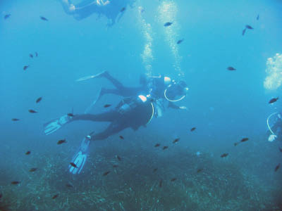 Diving data collection 18