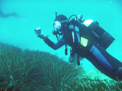 Diving data collection 19