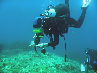 Diving data collection 22
