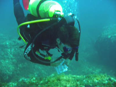 Diving data collection 4