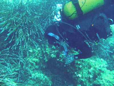 Diving data collection 6