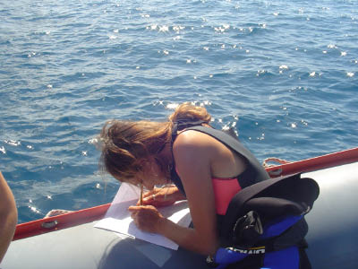 Habitat data collection 2