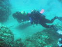 Diving data collection 16