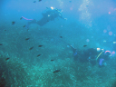 Diving data collection 17