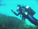 Diving data collection 19