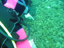 Diving data collection 2