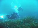 Diving data collection 20