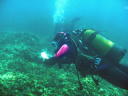 Diving data collection 3