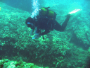 Diving data collection 5