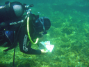 Diving data collection 8