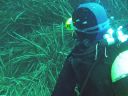 Diving data collection 9