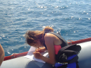 Habitat data collection 2