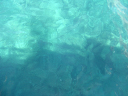 Habitat data collection 3