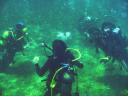 open water diver lesson_2