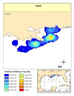 Fishery Analyst at NMFS, Texas