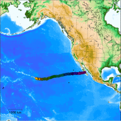 Zapata track at sea